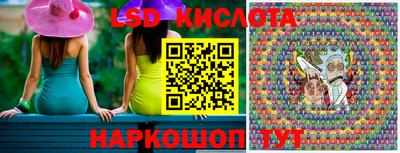 амф Новодвинск