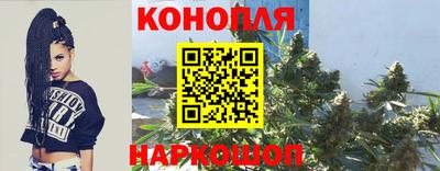 каннабис Новозыбков