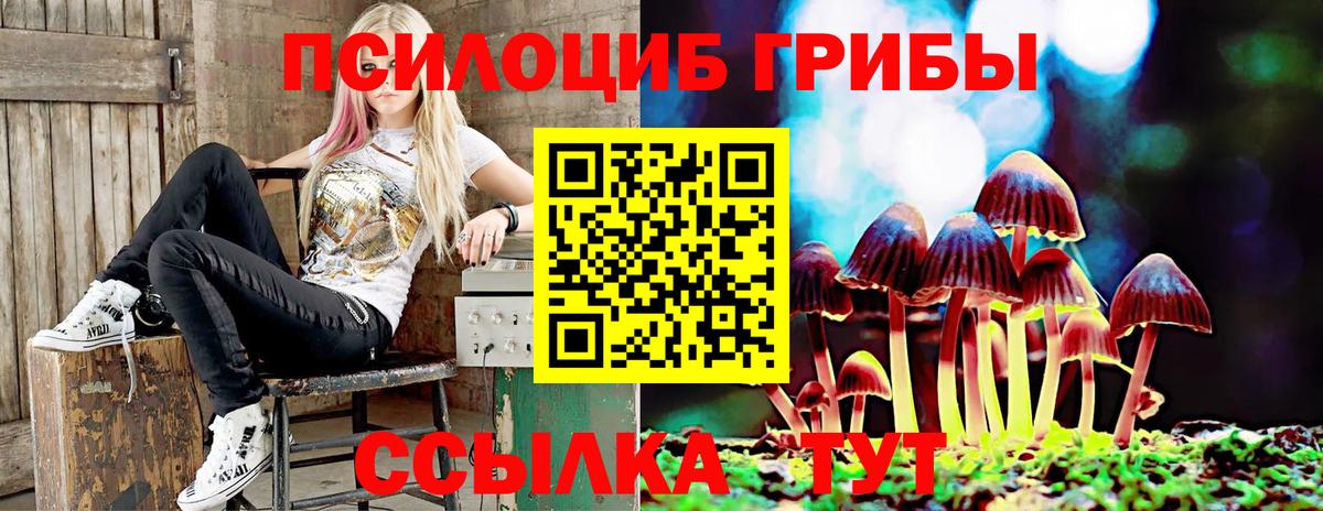 Галлюциногенные грибы мухоморы Серов
