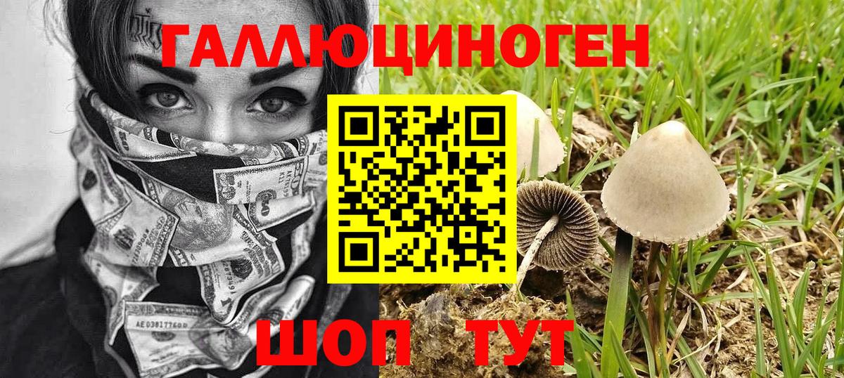 Серов  Псилоцибиновые грибы Magic Shrooms  Вход с VPN 